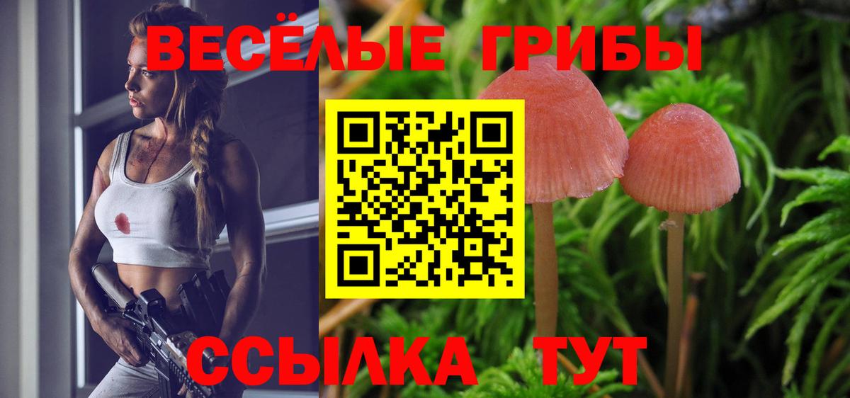 Псилоцибиновые грибы GOLDEN TEACHER  Вход с VPN  Дзержинский 